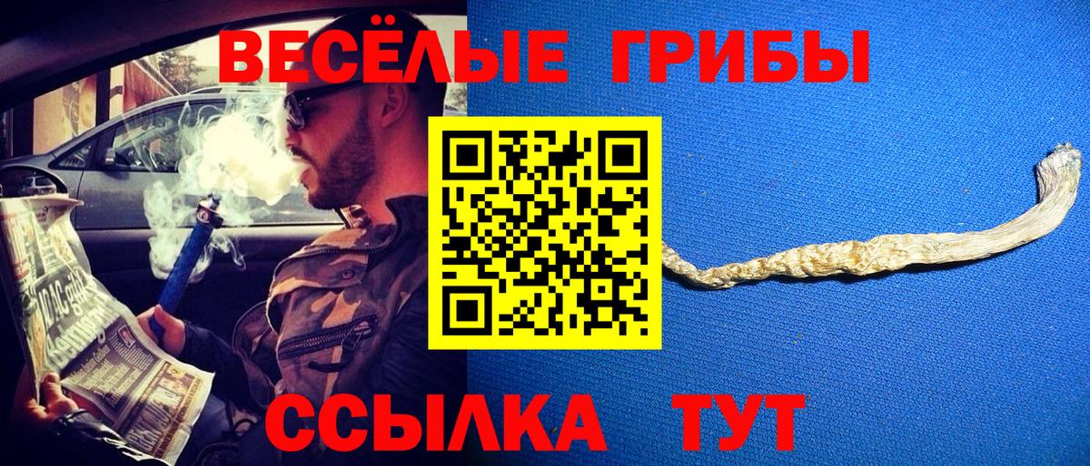 Нефтекамск  Галлюциногенные грибы Magic Shrooms  Вход с VPN 